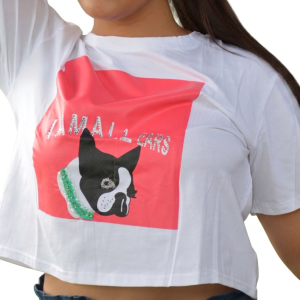 Camisetas